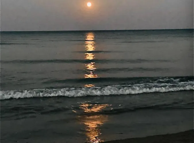 Lara 303 アパート ラルナカ